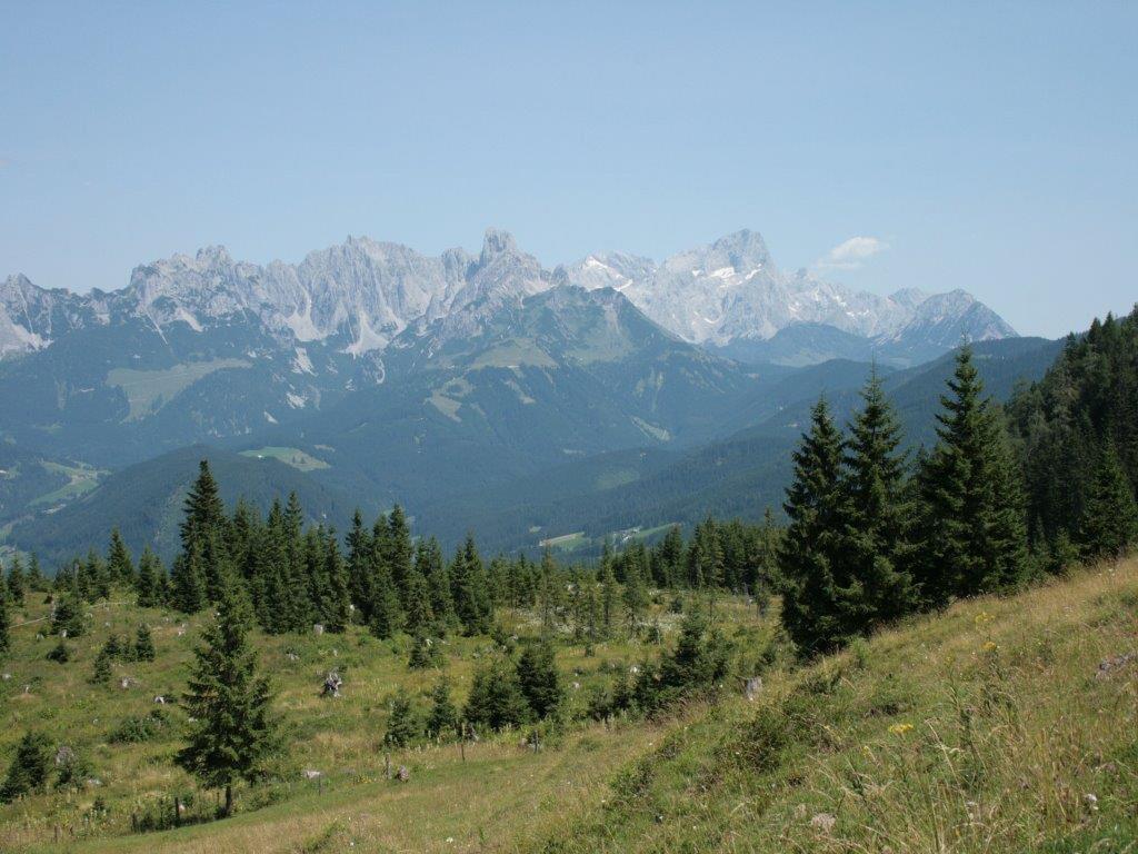 Privatunterkunft Waldhaus Sankt Martin am Tennengebirge